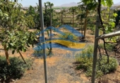 Casa de camp amb terreny en venda a la España, Tuineje, ref.: TR404185 foto