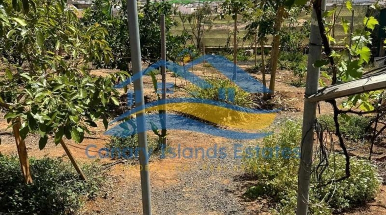 Las Palmas - Tuineje - 7500m2