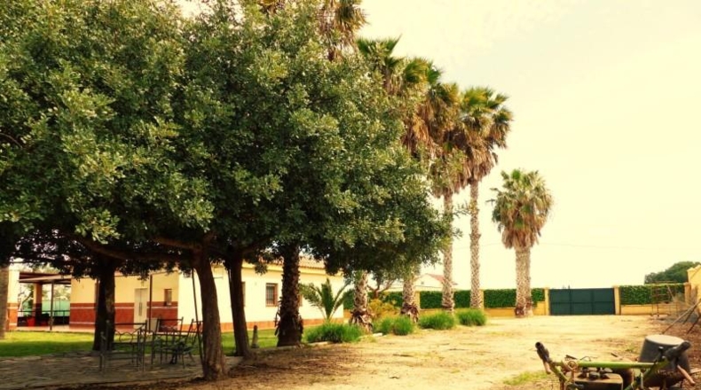 Cádiz - Sanlúcar de Barrameda - 4400m2