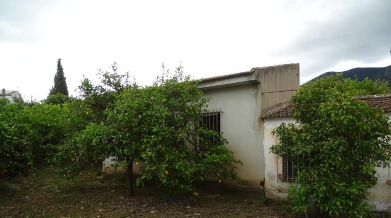 Málaga - Alhaurín el Grande - 15000m2