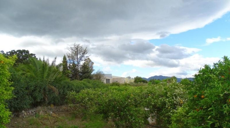 Málaga - Alhaurín el Grande - 15000m2