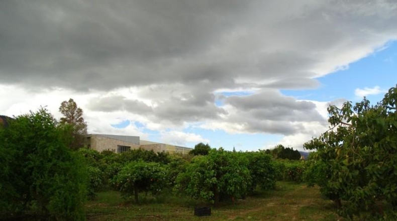 Málaga - Alhaurín el Grande - 15000m2