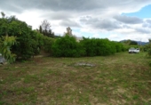 Casa de camp amb terreny en venda a la España, Alhaurín el Grande, ref.: TR232544 foto