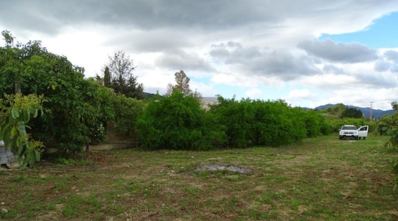 Málaga - Alhaurín el Grande - 15000m2