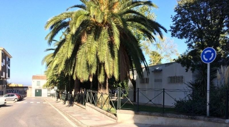Cáceres - Cáceres - 514m2