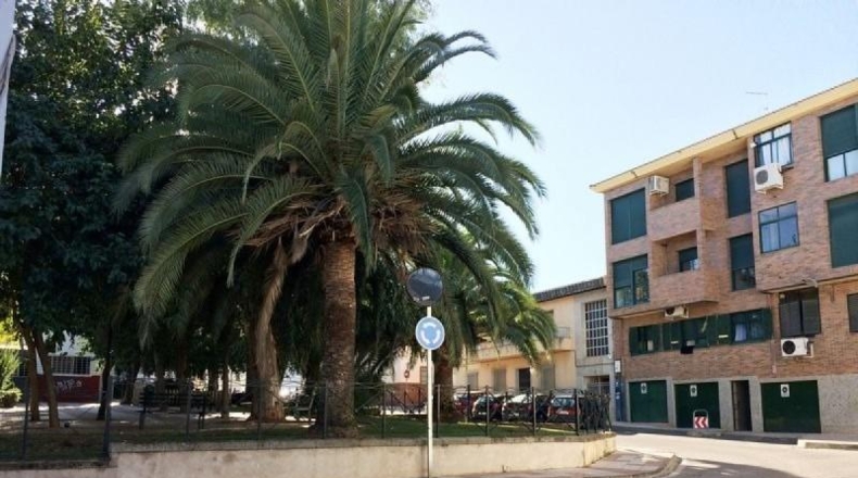 Cáceres - Cáceres - 514m2