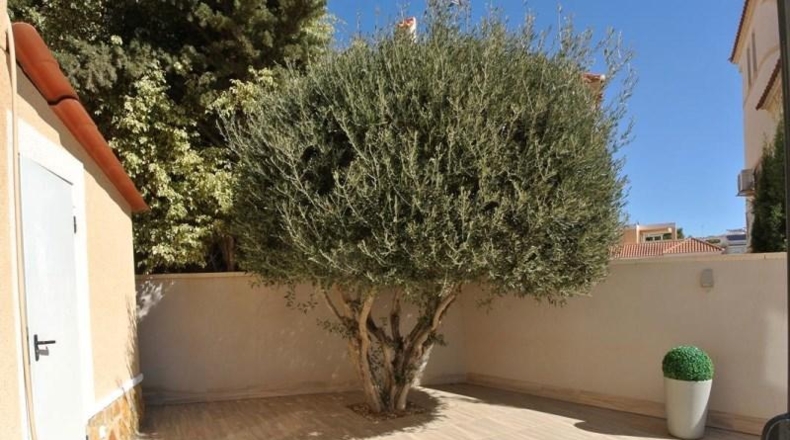 Alicante - San Miguel de Salinas - 387m2