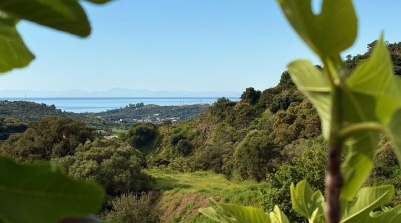 Málaga - Estepona - 1734m2