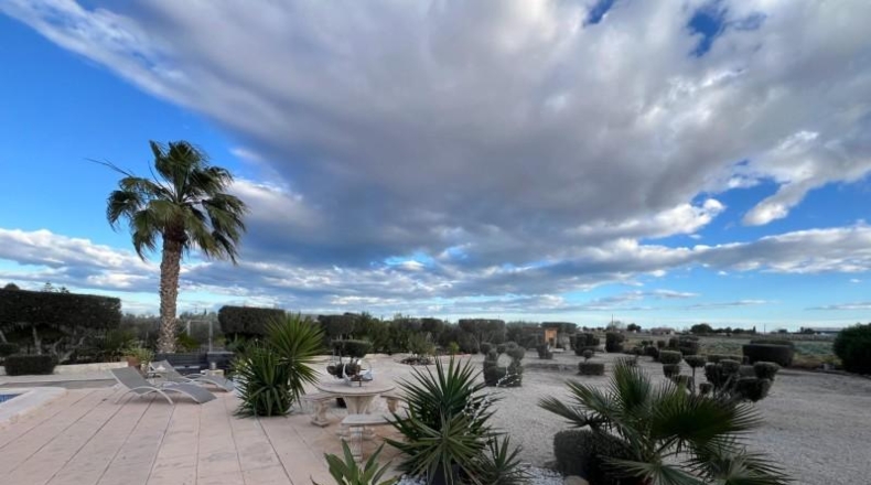 Alicante - Dolores - 2698m2