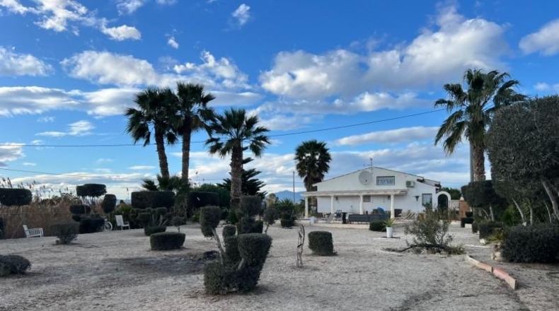 Alicante - Dolores - 2698m2