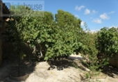 Detached villa with land for sale on España, Calvià, ref: TR144043 photo