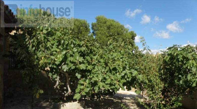 Islas Baleares - Calvià - 1000m2