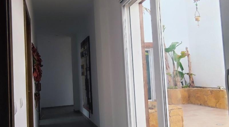 Alicante - Muchamiel - 1482m2