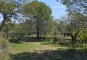 Rural estate for sale in Rossell ref: TR404706 photo