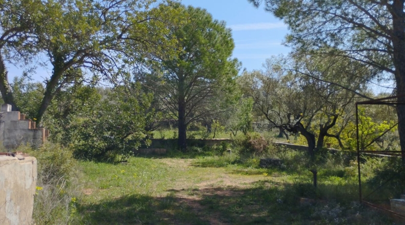 Castellón - Rossell - 70m2