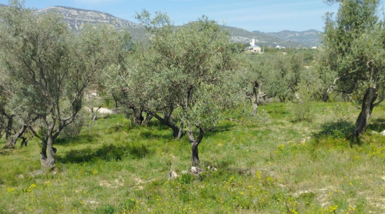 Castellón - Rossell - 70m2