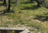Rural estate for sale in Rossell ref: TR404706 photo