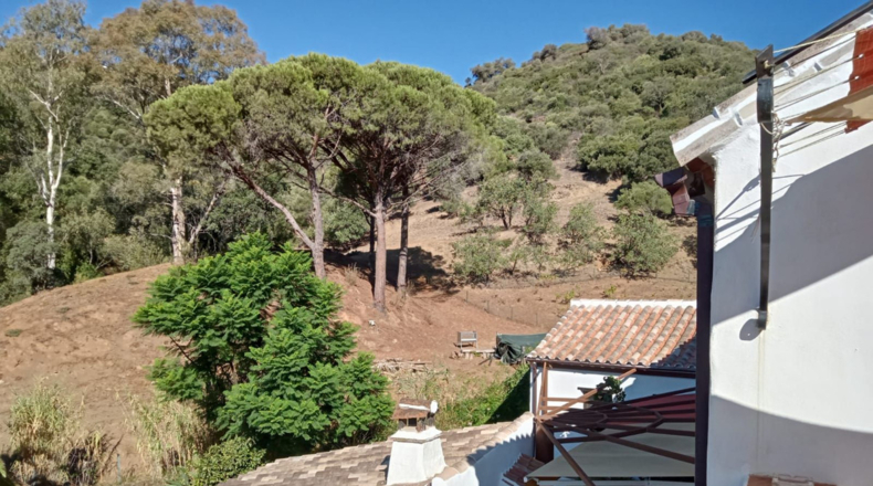 Malaga - Casares - 24990m2