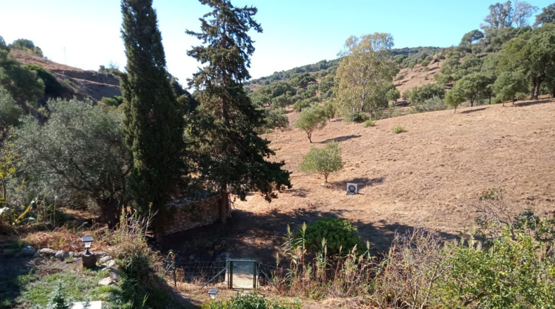Malaga - Casares - 24990m2