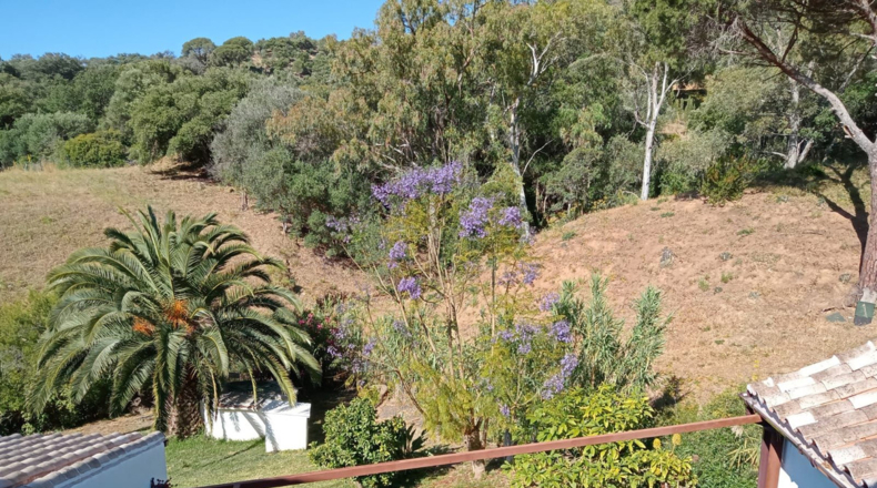 Malaga - Casares - 24990m2
