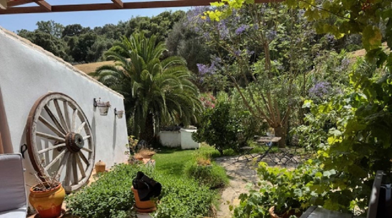 Malaga - Casares - 24990m2