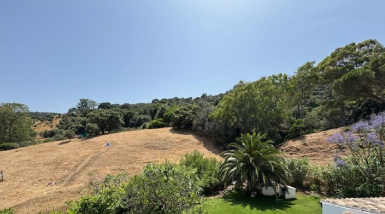 Malaga - Casares - 24990m2