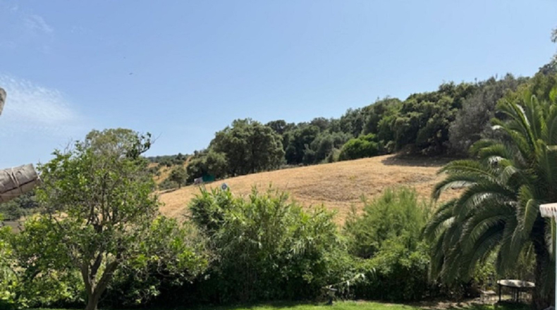Malaga - Casares - 24990m2