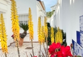 Village house for sale in Ayamonte ref: TR404705 photo