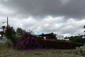 Santa Brígida 1763&nbsp;м²
