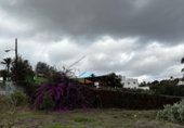 Country house with land for sale in Santa Brígida ref: TR404700 photo