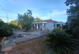 Bétera 2000&nbsp;m²