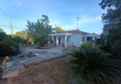 Detached villa with land for sale in Bétera ref: TR404697 photo