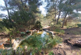 Bétera 2000&nbsp;m²