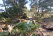 Detached villa with land for sale in Bétera ref: TR404697 photo