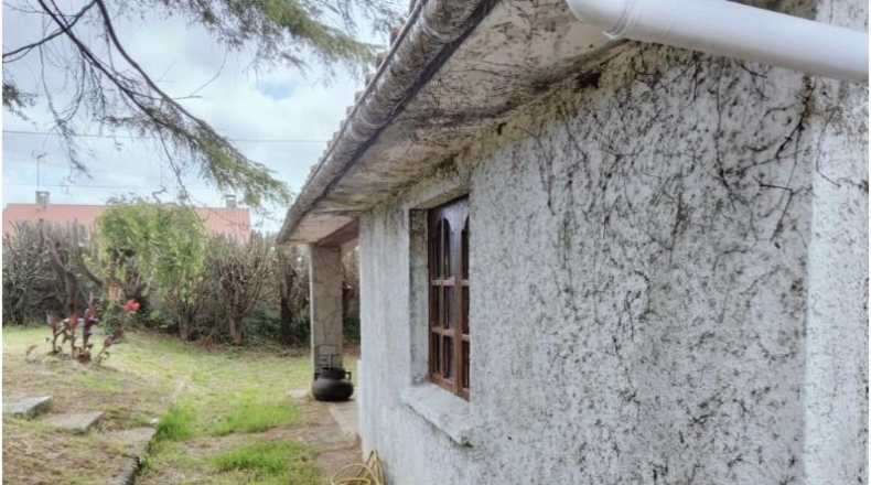 La Coruña - Valdoviño - 1638m2