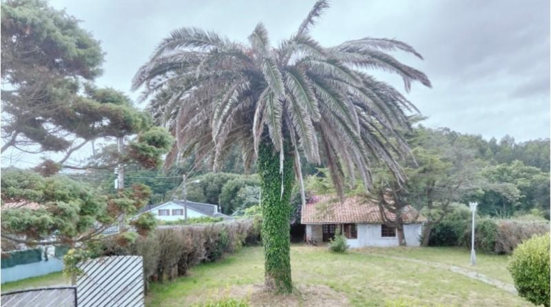 La Coruña - Valdoviño - 1638m2