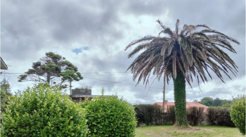 La Coruña - Valdoviño - 1638m2