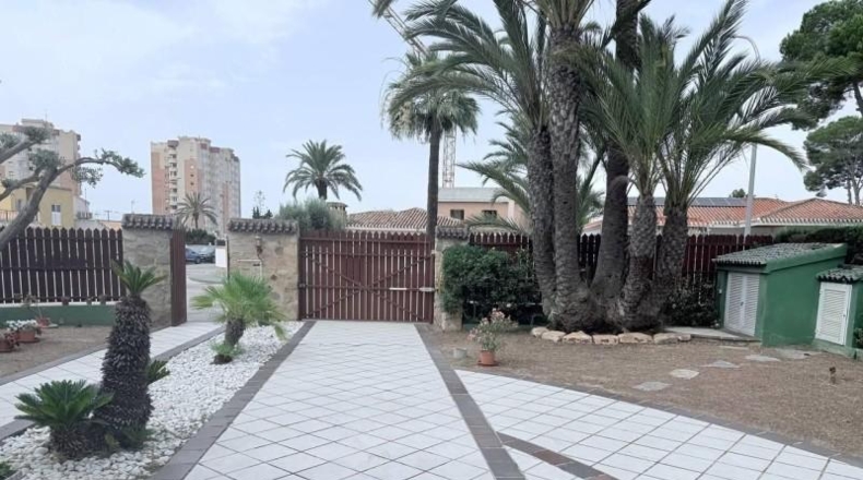 Alicante - Orihuela - 800m2