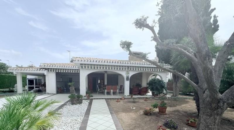 Alicante - Orihuela - 800m2
