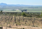 Xalet independent amb terreny en venda a la España, Iecla, ref.: TR275847 foto