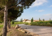 Chalet independiente con terreno en venta en la España, Algaida, ref: TR369264 foto