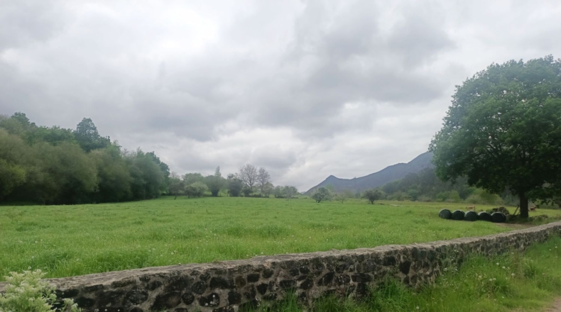 Asturias - Llanes - 9000m2