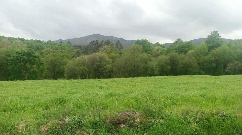 Asturias - Llanes - 9000m2