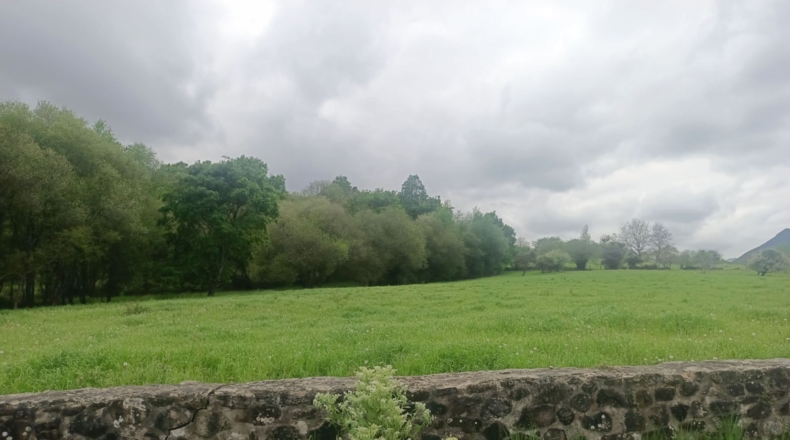 Asturias - Llanes - 9000m2