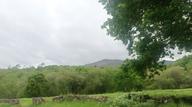 Asturias - Llanes - 9000m2