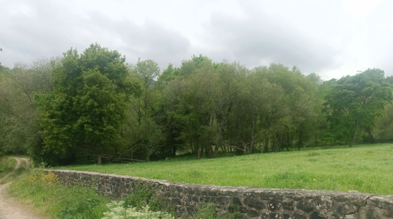 Asturias - Llanes - 9000m2