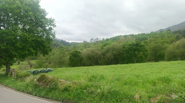 Asturias - Llanes - 9000m2
