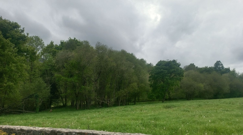 Asturias - Llanes - 9000m2