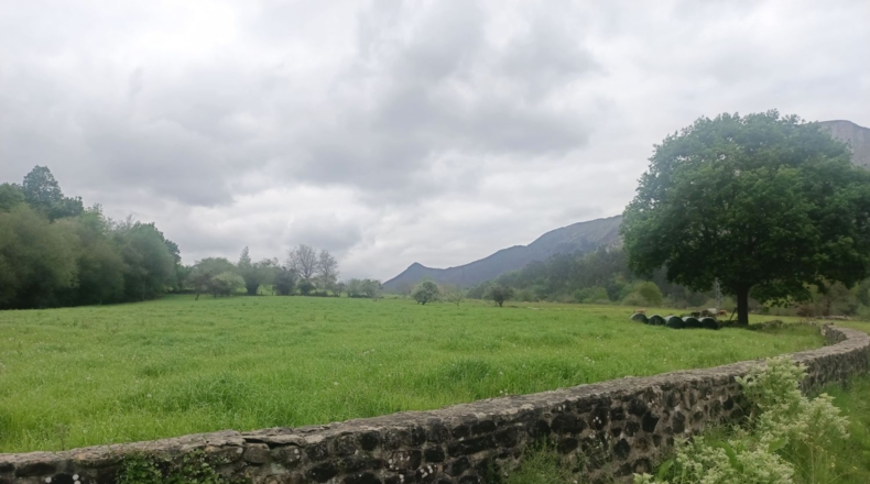 Asturias - Llanes - 9000m2