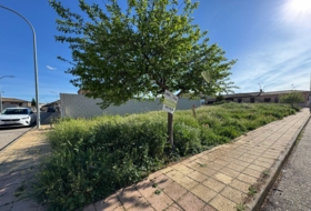 Pulgar 230&nbsp;м²
